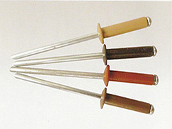 彩色烤漆型鉚釘